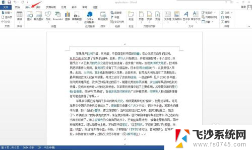 word显示页码怎么设置 Word中如何调整页码显示格式