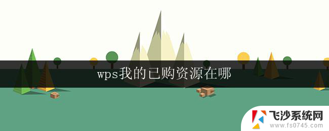 wps我的已购资源在哪 wps我的已购资源在哪个菜单里