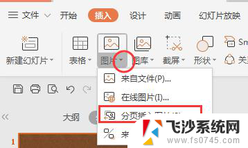 wps为什么找不到插入相册的选项 wps找不到插入相册的选项怎么办