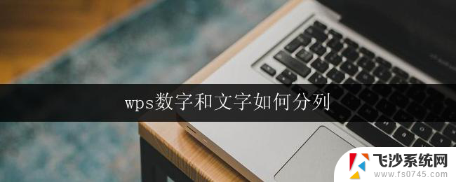 wps数字和文字如何分列 wps数字和文字如何分列排版