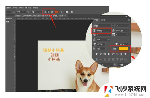 ps里面怎么添加文字 Photoshop如何在图片上添加文字