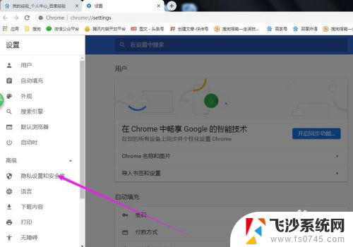 谷歌浏览器的安全设置在哪里 Google Chrome浏览器安全性设置指南