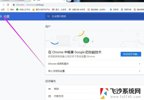 谷歌浏览器的安全设置在哪里 Google Chrome浏览器安全性设置指南