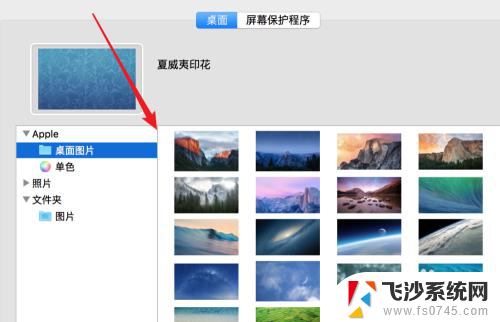 苹果电脑怎么设置照片为壁纸 如何在Mac上设置自己的图片做桌面背景