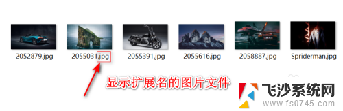 win11显示文件扩展名 Win11怎样显示文件扩展名