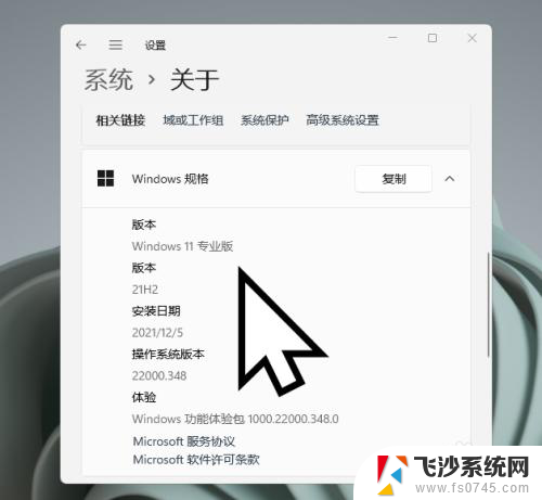 windows11怎么看自己是不是专业版 Windows 11怎么查看是家庭版还是专业版