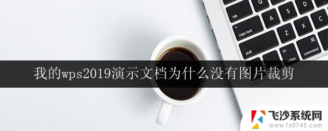 我的wps2019演示文档为什么没有图片裁剪 wps2019演示文档图片裁剪方法