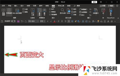 电脑word文档怎么变大 word文档视图页面无法放大