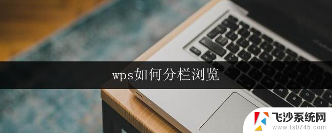 wps如何分栏浏览 wps如何设置分栏浏览