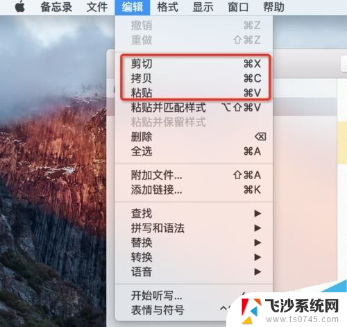 苹果系统粘贴复制快捷键 苹果MAC系统复制黏贴快捷键失效