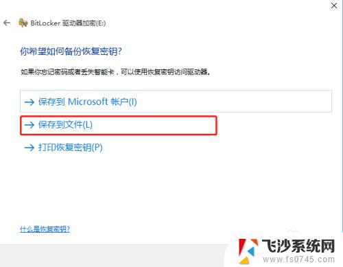 加密移动硬盘换个电脑能不能打开 Windows10上使用BitLocker加密移动硬盘的方法