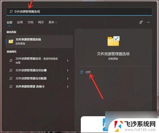 windows11文件后缀显示 Win11文件扩展名显示设置方法