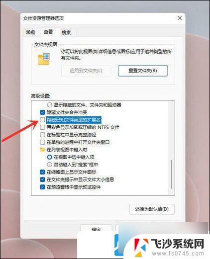 windows11文件后缀显示 Win11文件扩展名显示设置方法