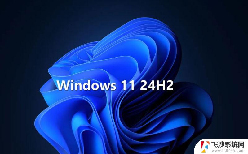 win11安装不了软件怎么回事 Win11 24H2 安装 9 月更新出现不支持操作错误