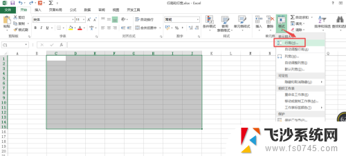 电脑表格怎么调整行高列宽 Excel表格的行高和列宽设置方法