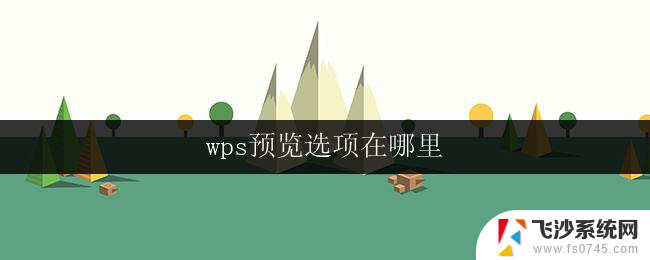 wps预览选项在哪里 wps预览选项在哪里设置