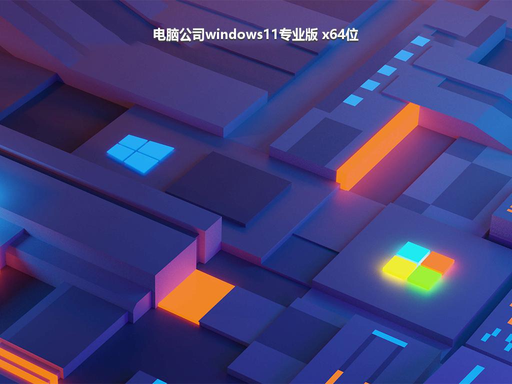 电脑公司windows11专业版 x64位