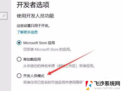 电脑如何打开开发者模式 Win10如何打开开发者选项启用开发人员模式