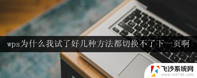 wps为什么我试了好几种方法都切换不了下一页啊 为什么wps不能切换到下一页