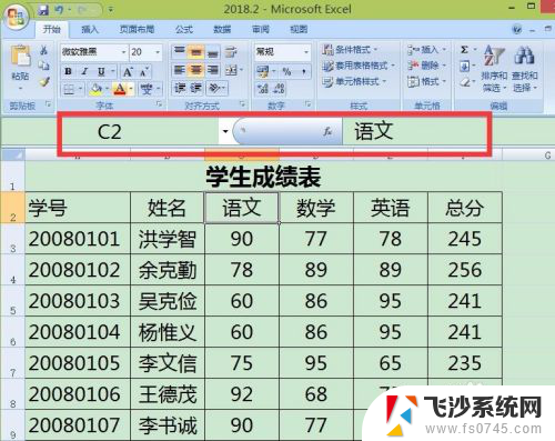 excel编辑栏字体设置 Excel编辑栏默认字体和大小设置方法