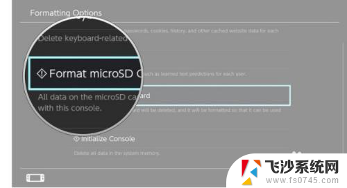 switch格式化内存卡文件系统 在Nintendo Switch上如何清除microSD卡