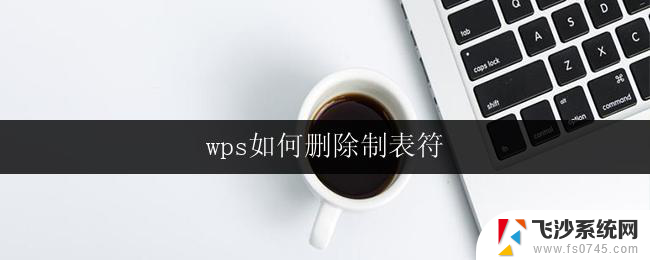 wps如何删除制表符 wps如何在表格中删除制表符